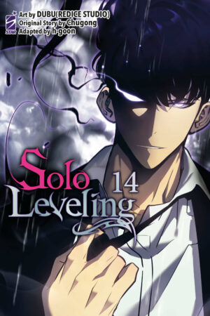 SOLO LEVELING 14