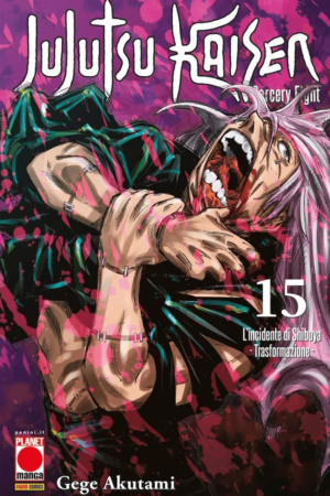 JUJUTSU KAISEN SORCERY FIGHT 15 RIS