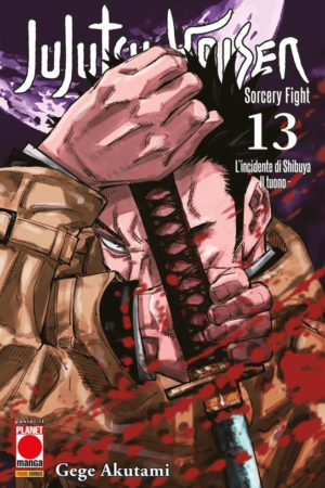 JUJUTSU KAISEN SORCERY FIGHT 13